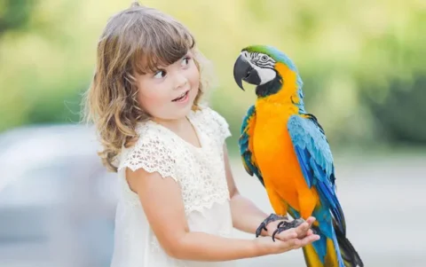 اسم برای طوطی