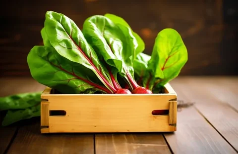 برگ چغندر: ارزش غذایی، نحوه پخت و خواص آن