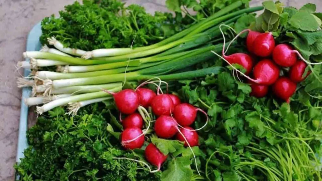 اسم برای مغازه سبزی فروشی
