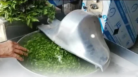 اسم برای مغازه سبزی خرد کنی
