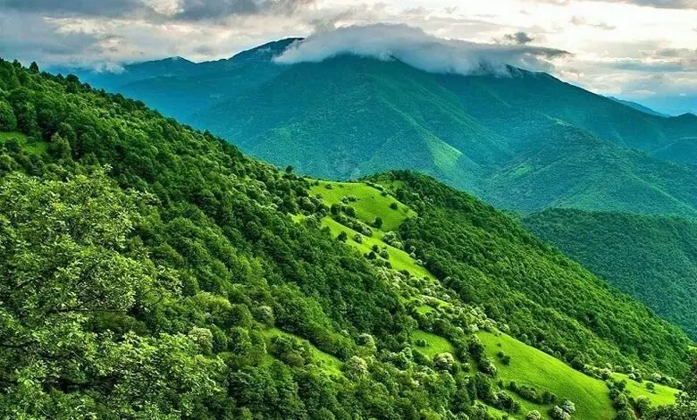 جنگلهای ارسباران؛ طبیعتی بکر و دستنخورده